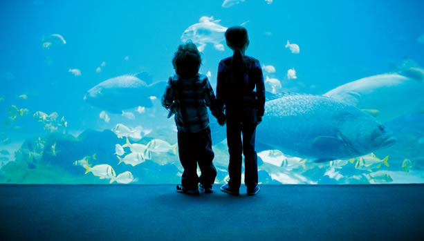 Family Fun Package at The Ritz-Carlton, Toronto