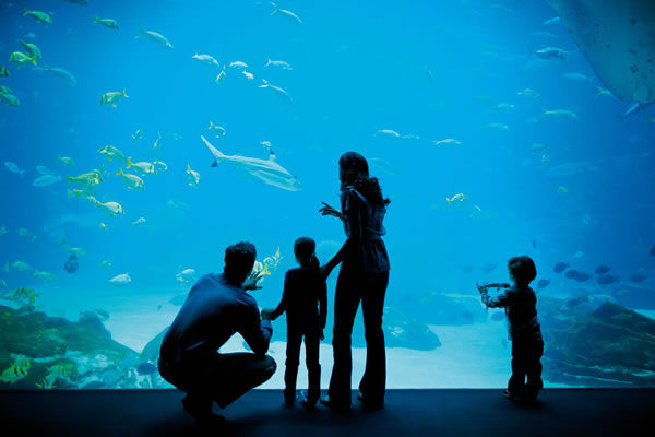 Atlanta Family Trip at The Ritz-Carlton, Atlanta