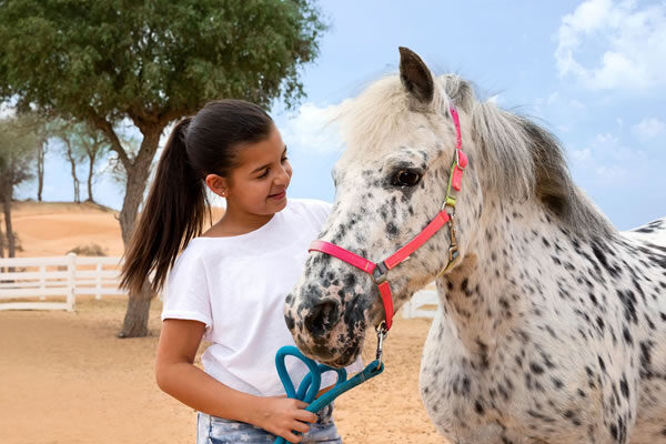 Ras Al Khaimah Family Vacation at The Ritz-Carlton Ras Al Khaimah, Al Wadi Desert
