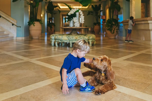 Fort, the Therapy Dog -©Four Seasons Resort Palm Beach