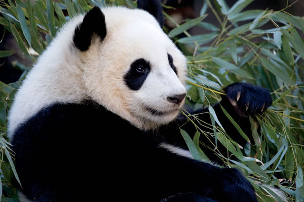 Washington Family Trip at The Ritz-Carlton Washington, D.C.