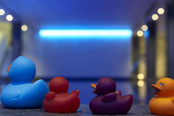 Ducks having a splashing time in the Pool ©One Aldwych London