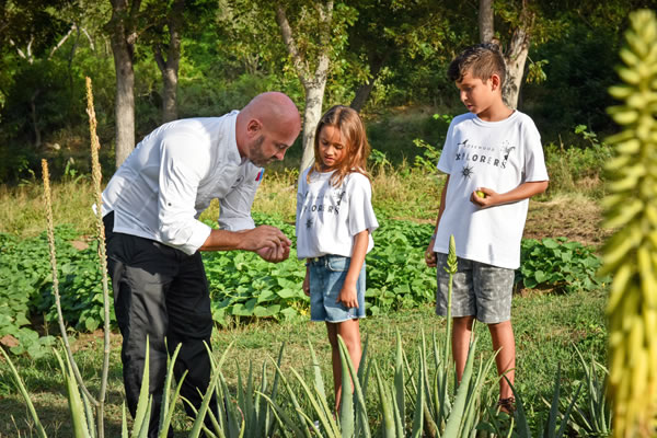 A Chef, Herbs, and a Garden. Get Ready for a Kids Cooking Class in The Chef’s Garden at Luxurious Rosewood Resort in the Caribbean