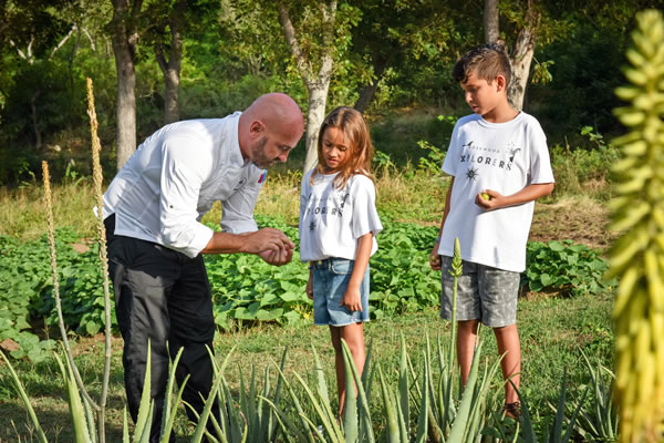 Chef's Herb Garden ©Rosewood Little Dix Bay, Virgin Gorda, BVI