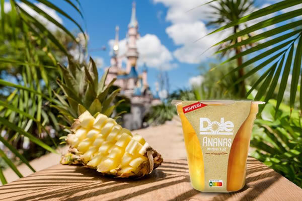 Lunch-To-Go ©Disneyland® Paris