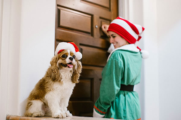Elf Cookie Delivery ©Ojai Valley Inn