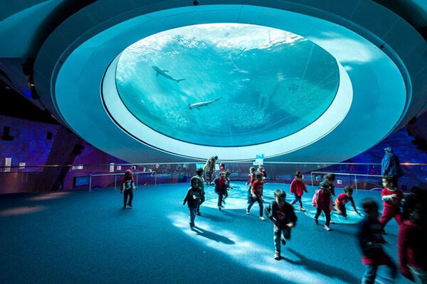 The Phillip and Patricia Frost Museum of Science