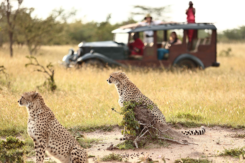 Kenya Family Vacation 9 Day and 8 Nights