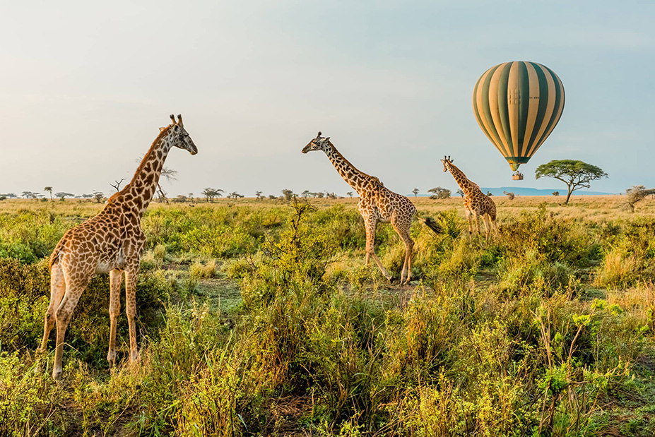 Four Seasons Private Jet Experience African Wonders