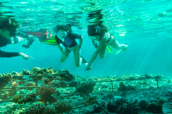 Maldives Family Vacation at COMO Maalifushi