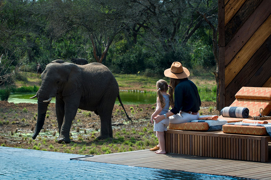 South Africa for the Whole Family | 13 Days & 12 Nights