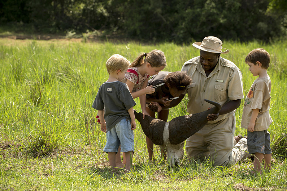 South Africa Family Safari