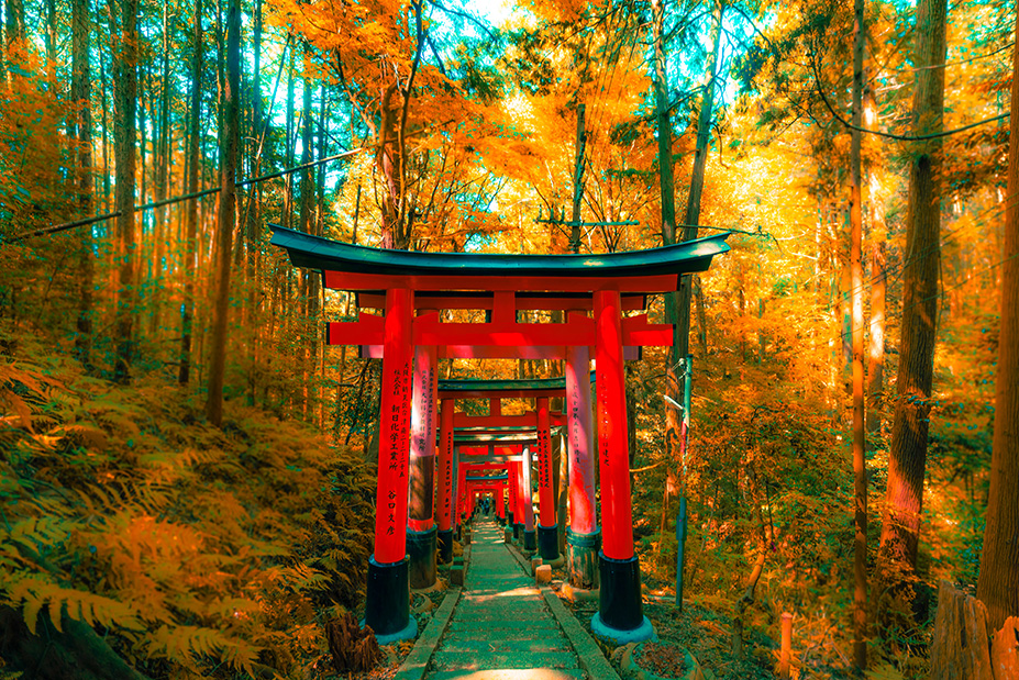 fushimi inari