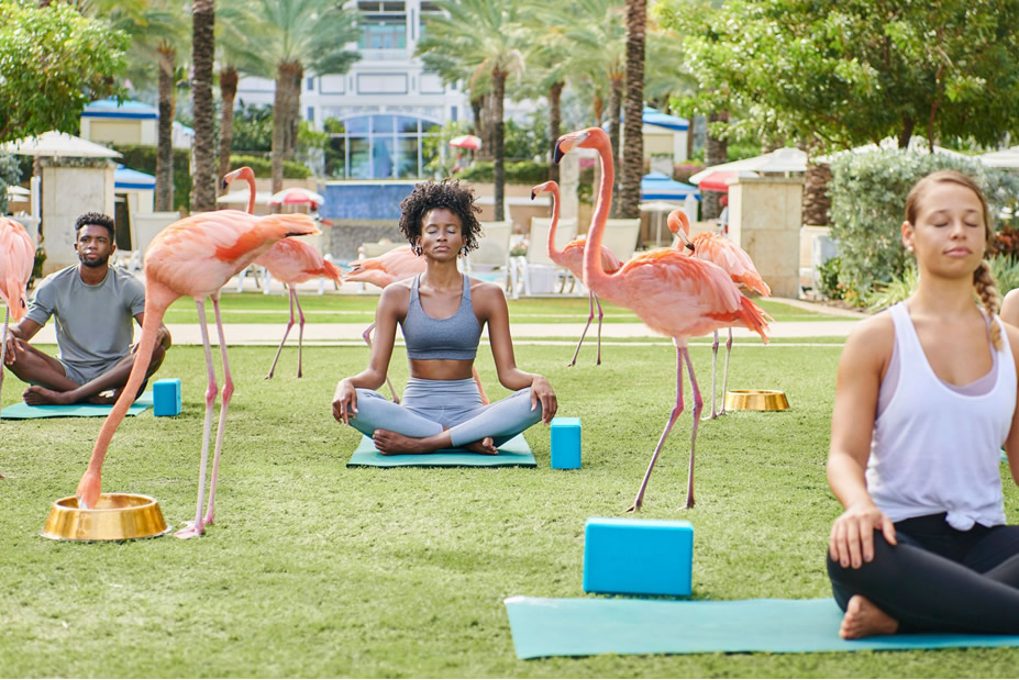 Bahamas Family Vacation at Rosewood Baha Mar