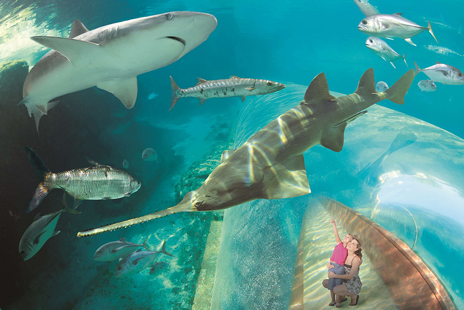 Bahamas Family Vacation at The Reef at Atlantis