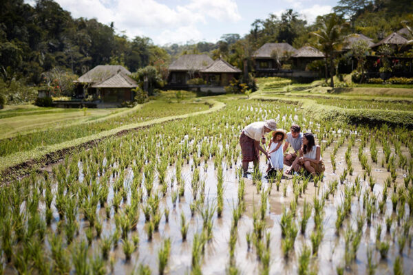 Bali Family Vacation at Mandapa, a Ritz-Carlton Reserve, Bali