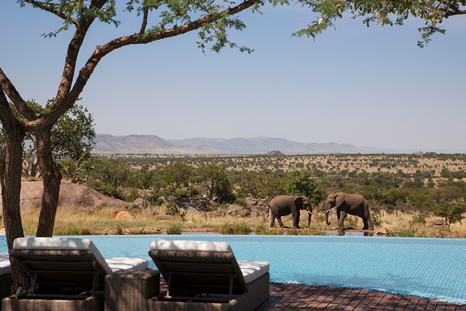 Serengeti Family Vacation at Four Seasons Safari Lodge Serengeti, Tanzania
