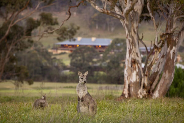 Australia Family Vacation at Emirates One&Only Wolgan Valley