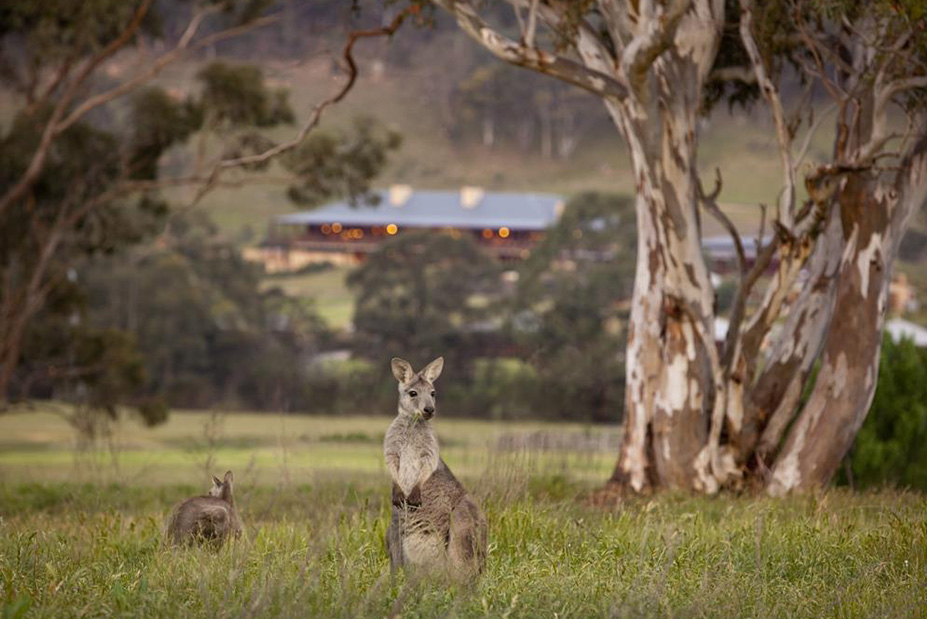 Australia Family Vacation at Emirates One&Only Wolgan Valley