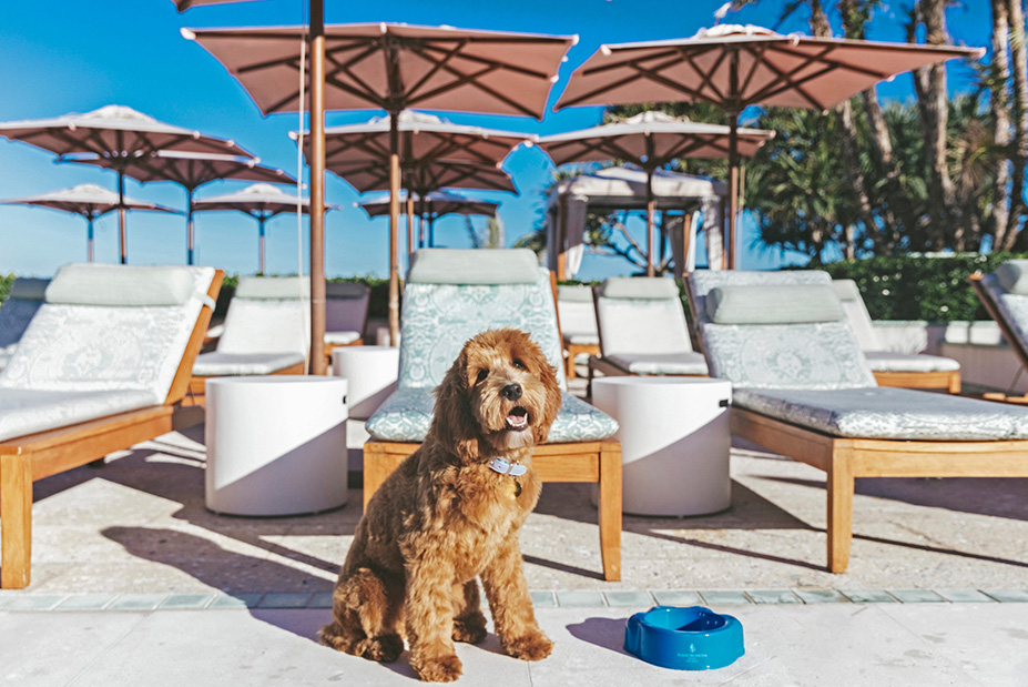 Palm Beach Family Vacation at Four Seasons Resort Palm Beach