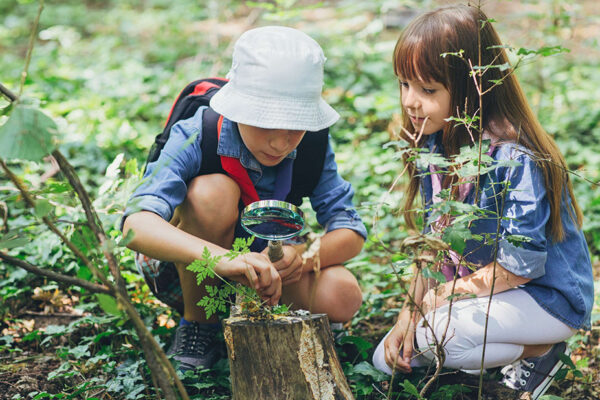Blue Ridge Mountains Family Vacation at Primland Auberge Resort