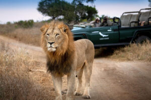 Luxury Safari Vacation at andBeyond Phinda Vlei Lodge