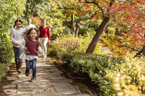 Four Seasons Hotel Kyoto fall season