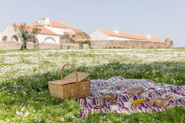 Alentejo Family Vacation at São Lourenço do Barrocal