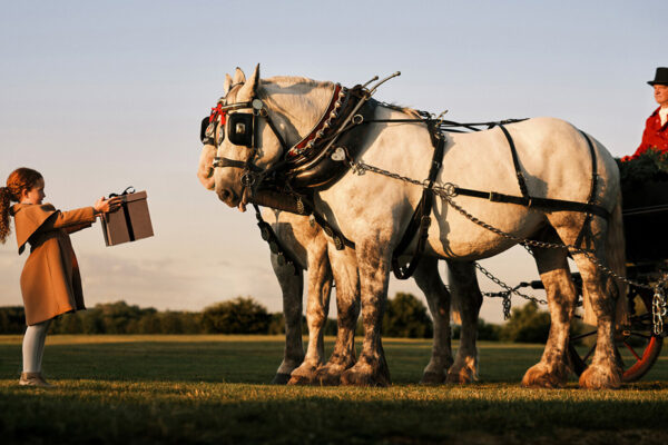 Four Seasons Holidays