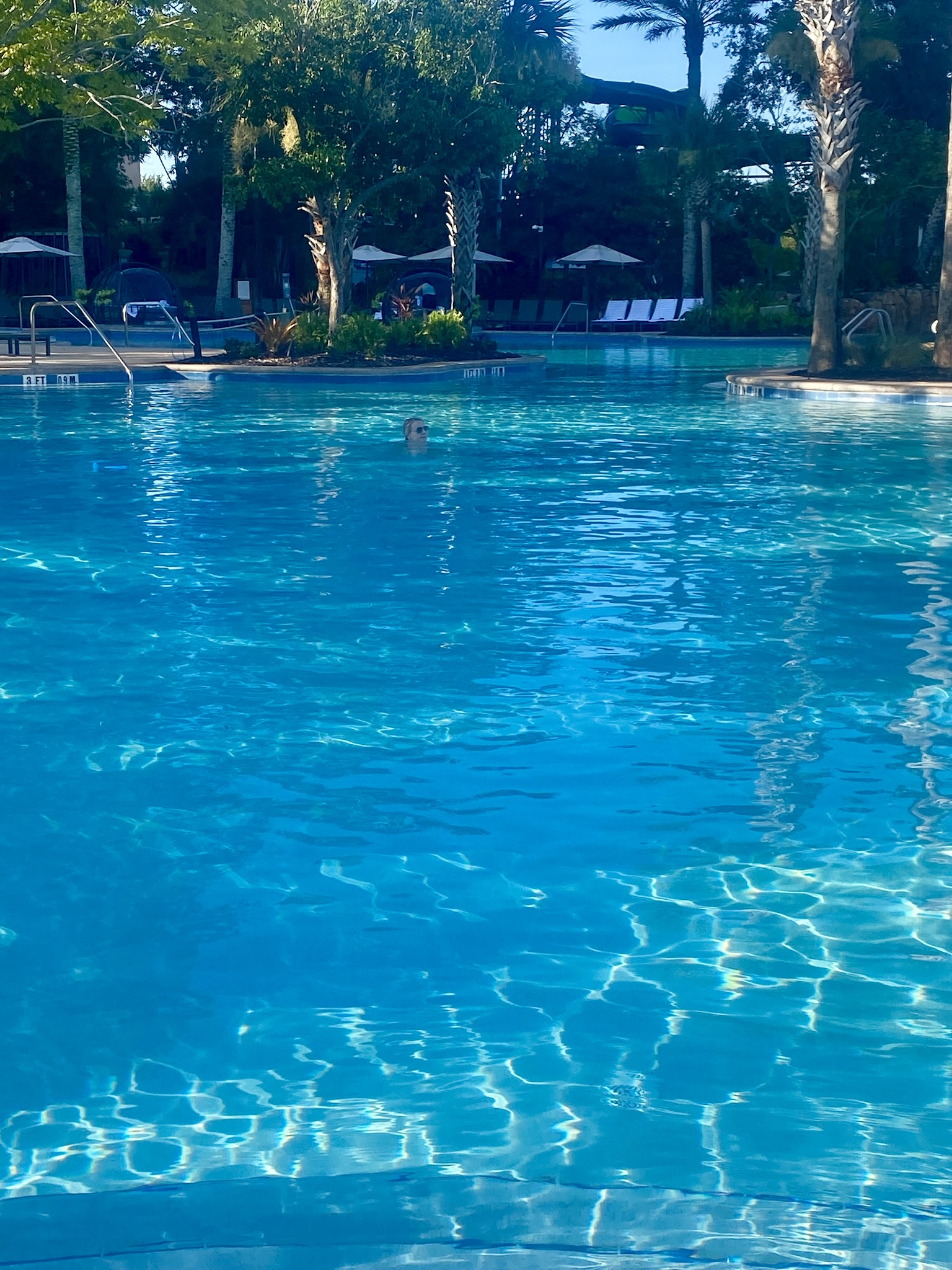 Ilonka Ritz Carlton Orlando