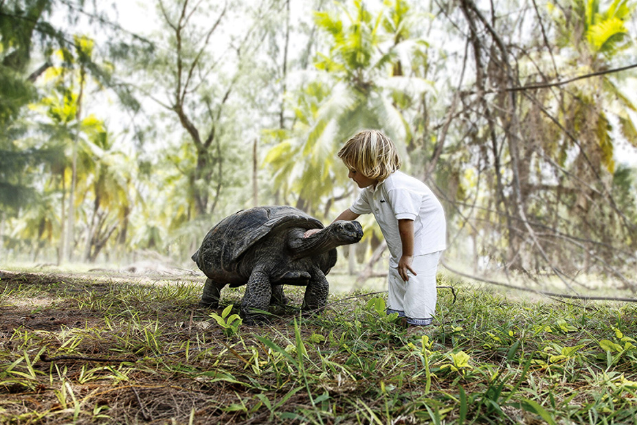 Four Seasons Resort Seychelles at Desroches Island
