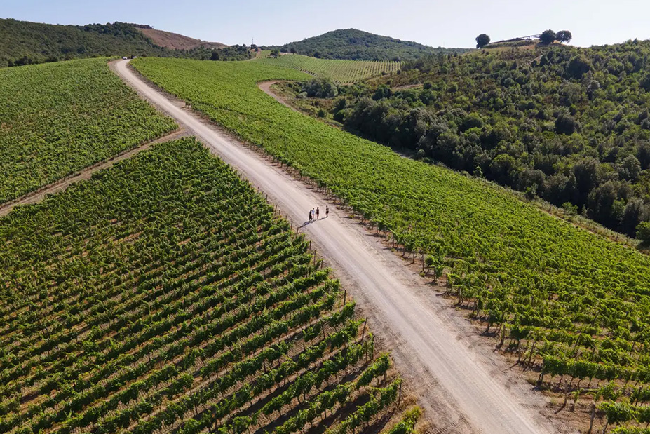 Castiglion del Bosco A Rosewood Hotel Tuscany