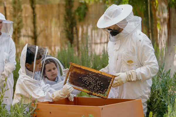 Mandarin Oriental Marrakech