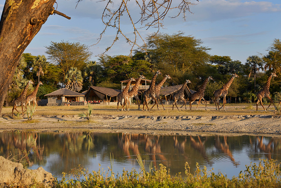 Chem Chem Lodge Auberge Safari
