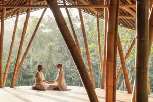 Four Seasons Resorts Asia Babymoon